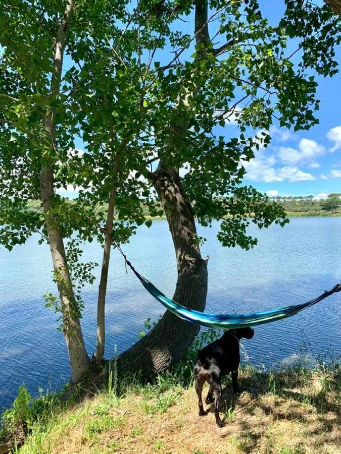 Lake House I Pioppi Nepi Екстер'єр фото